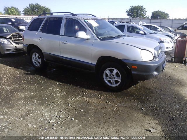 KM8SC13D73U435529 - 2003 HYUNDAI SANTA FE GLS/LX SILVER photo 1