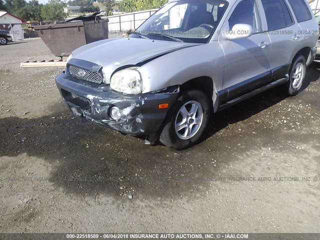 KM8SC13D73U435529 - 2003 HYUNDAI SANTA FE GLS/LX SILVER photo 6