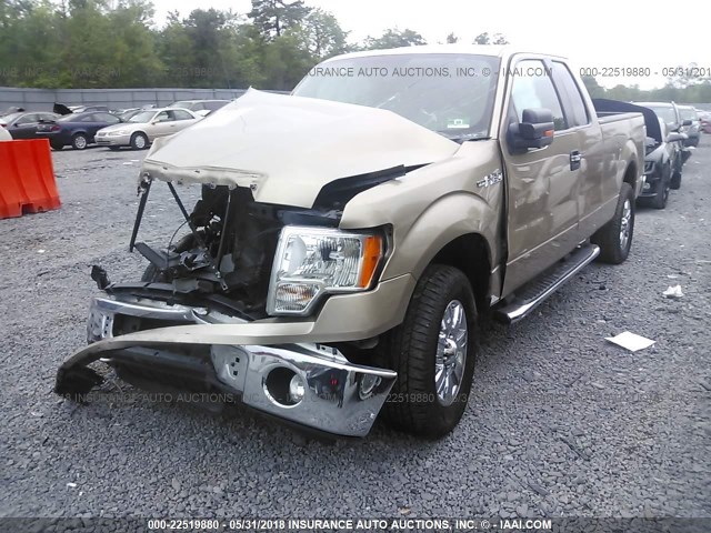 1FTFX1EF3CFB90354 - 2012 FORD F150 SUPER CAB BEIGE photo 2