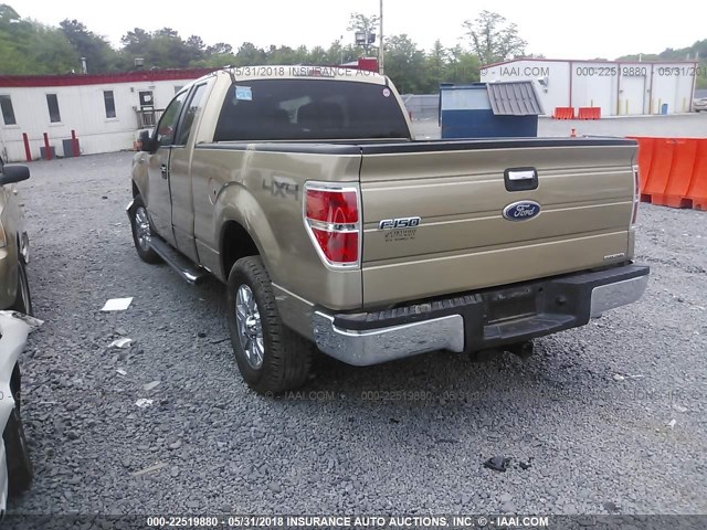 1FTFX1EF3CFB90354 - 2012 FORD F150 SUPER CAB BEIGE photo 3