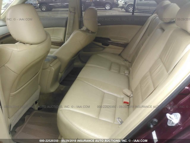 1HGCP36879A028801 - 2009 HONDA ACCORD EXL MAROON photo 8