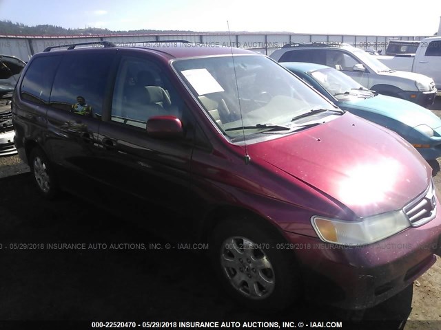 5FNRL18044B077308 - 2004 HONDA ODYSSEY EXL RED photo 1