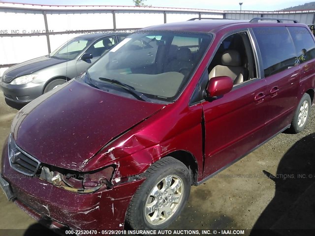 5FNRL18044B077308 - 2004 HONDA ODYSSEY EXL RED photo 2