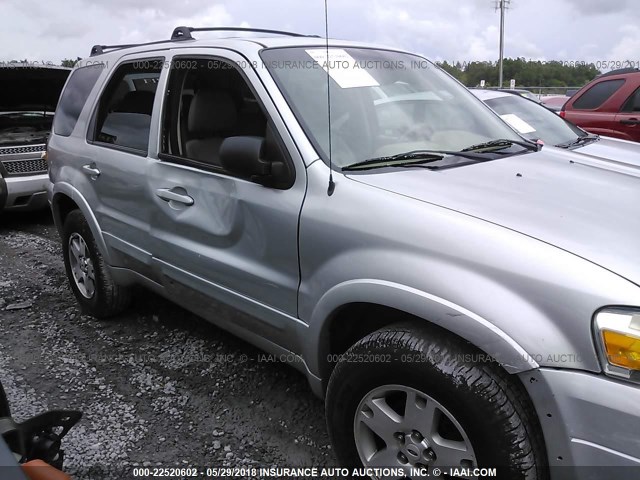 1FMYU04135KB63825 - 2005 FORD ESCAPE LIMITED SILVER photo 6