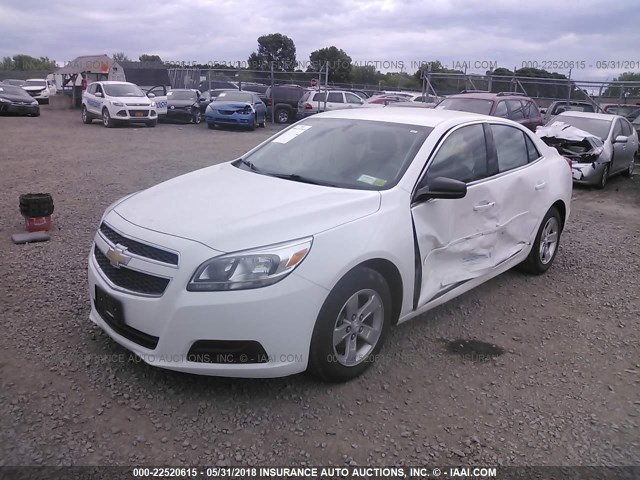 1G11A5SA1DF313302 - 2013 CHEVROLET MALIBU LS 白色 照片 2