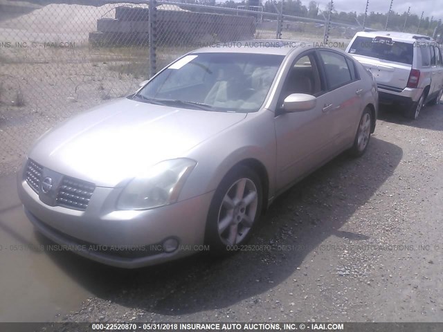 1N4BA41E35C837098 - 2005 NISSAN MAXIMA SE/SL GOLD photo 2