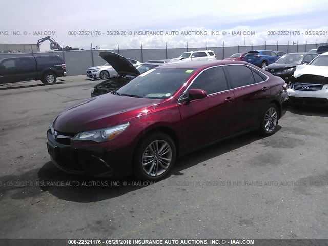 4T1BF1FK9HU738546 - 2017 TOYOTA CAMRY LE/XLE/SE/XSE MAROON photo 2