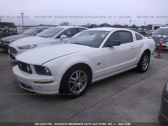 1ZVFT82H455119017 - 2005 FORD MUSTANG GT WHITE photo 2