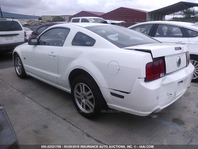1ZVFT82H455119017 - 2005 FORD MUSTANG GT WHITE photo 3