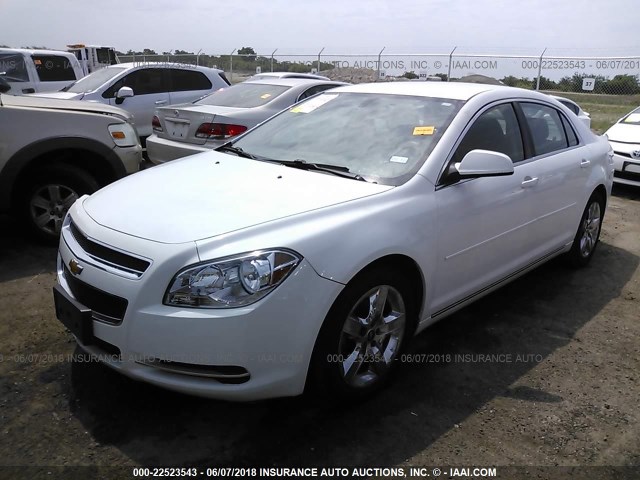 1G1ZC5EB2AF197993 - 2010 CHEVROLET MALIBU 1LT 白色 照片 2
