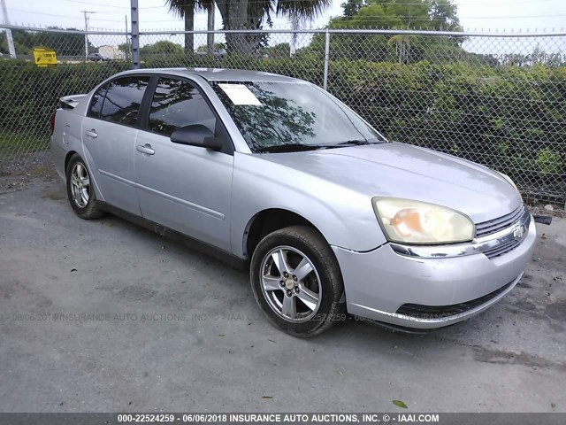 1G1ZT54875F201614 - 2005 CHEVROLET MALIBU LS 银色 照片 1
