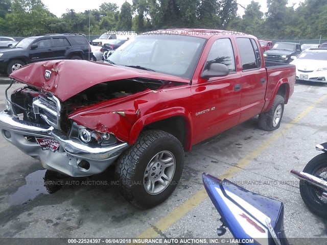 1B7HG2AN31S265568 - 2001 DODGE DAKOTA QUAD RED photo 2