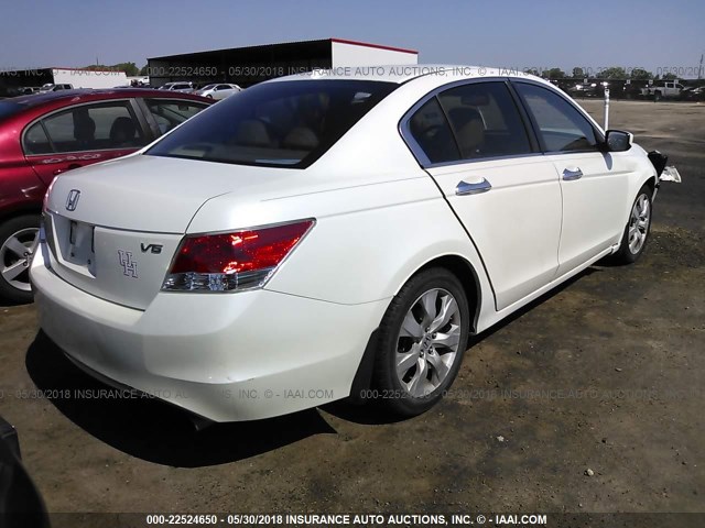 5KBCP3F85AB011605 - 2010 HONDA ACCORD EXL WHITE photo 4