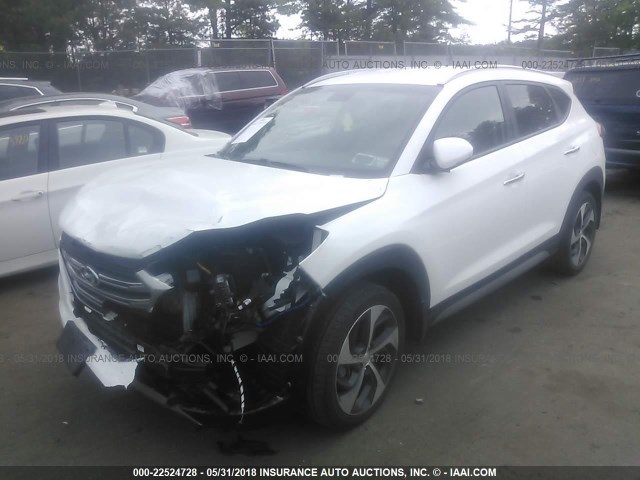 KM8J3CA22HU303617 - 2017 HYUNDAI TUCSON LIMITED/SPORT AND ECO/SE WHITE photo 2