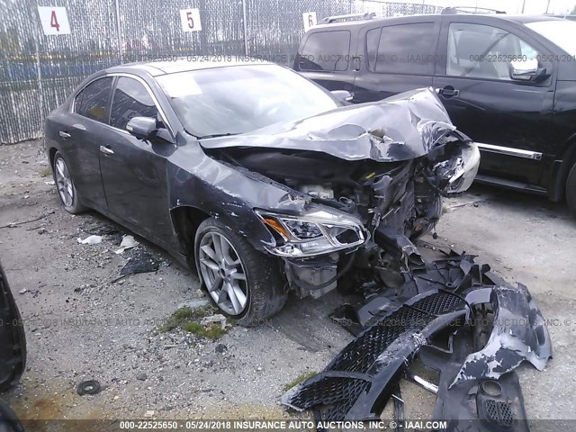 1N4AA51E99C843446 - 2009 NISSAN MAXIMA S/SV GRAY photo 1