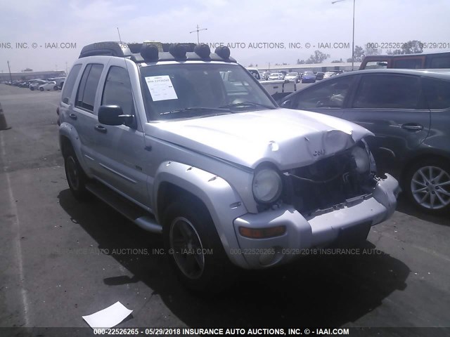 1J4GK38K13W626703 - 2003 JEEP LIBERTY RENEGADE SILVER photo 1