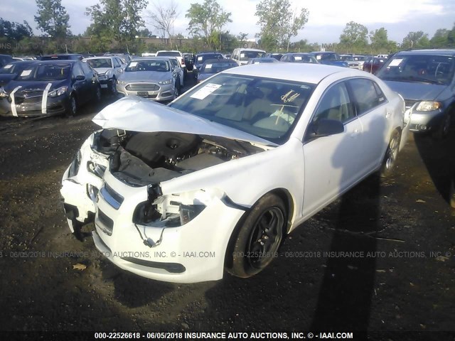 1G1ZA5EU2CF294816 - 2012 CHEVROLET MALIBU LS WHITE photo 2