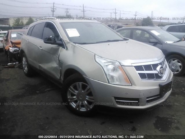 3GYFNDEY2AS511005 - 2010 CADILLAC SRX LUXURY COLLECTION GOLD photo 1