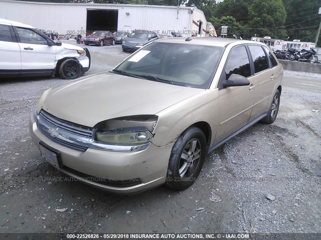 1G1ZT64805F146204 - 2005 CHEVROLET MALIBU MAXX LS GOLD photo 2