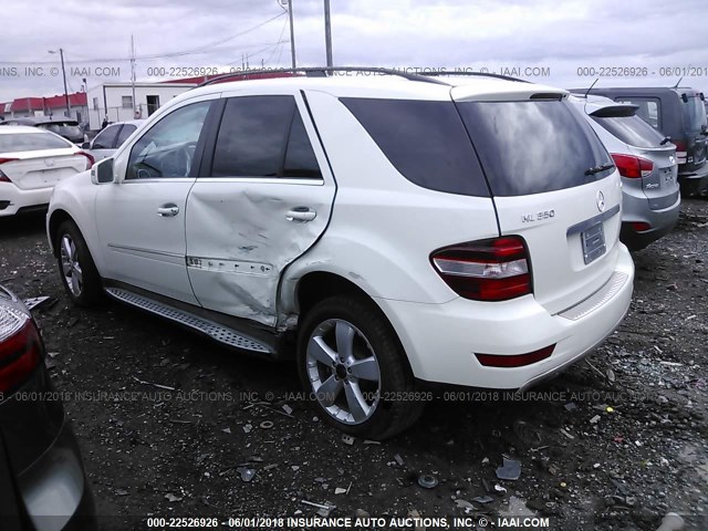 4JGBB8GB6BA712384 - 2011 MERCEDES-BENZ ML 350 4MATIC WHITE photo 3