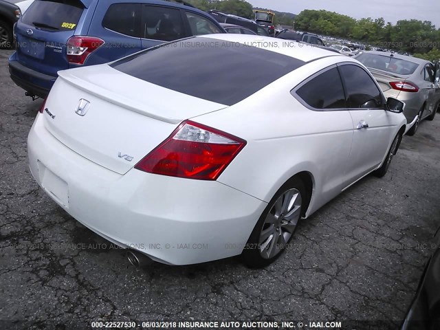 1HGCS22839A012061 - 2009 HONDA ACCORD EXL WHITE photo 4