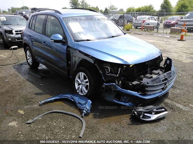 WVGBV7AX6HK023048 - 2017 VOLKSWAGEN TIGUAN S/LIMITED BLUE photo 6