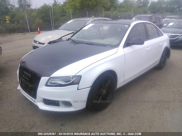 WAULF78K69N034290 - 2009 AUDI A4 2.0T QUATTRO WHITE photo 2