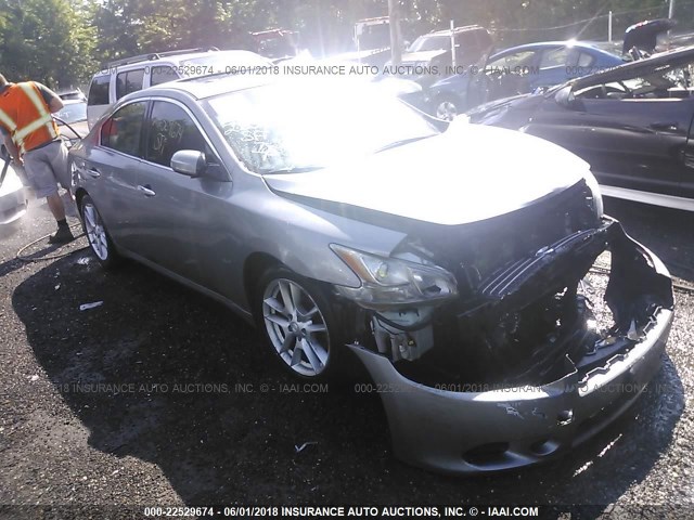 1N4AA51E59C859076 - 2009 NISSAN MAXIMA S/SV GRAY photo 1