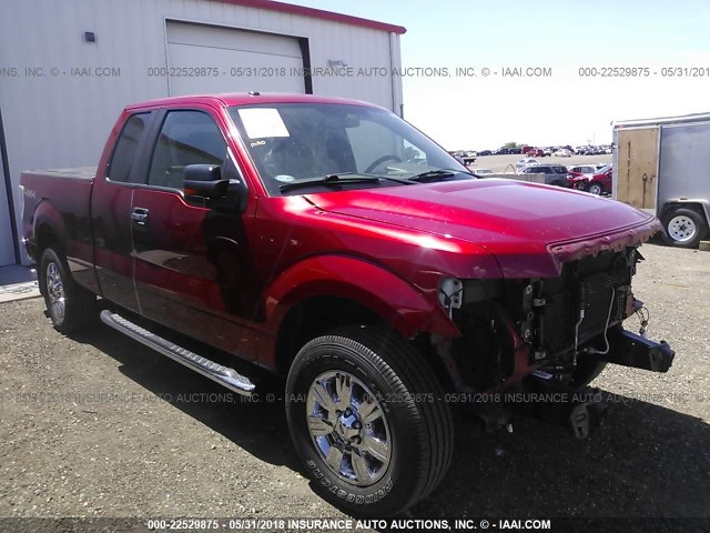 1FTFX1EV3AKE23855 - 2010 FORD F150 SUPER CAB RED photo 1