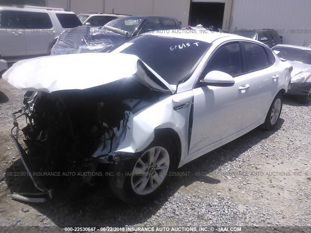 5XXGT4L31GG025517 - 2016 KIA OPTIMA WHITE photo 2