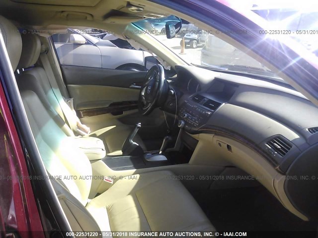 1HGCP36888A065774 - 2008 HONDA ACCORD EXL MAROON photo 5