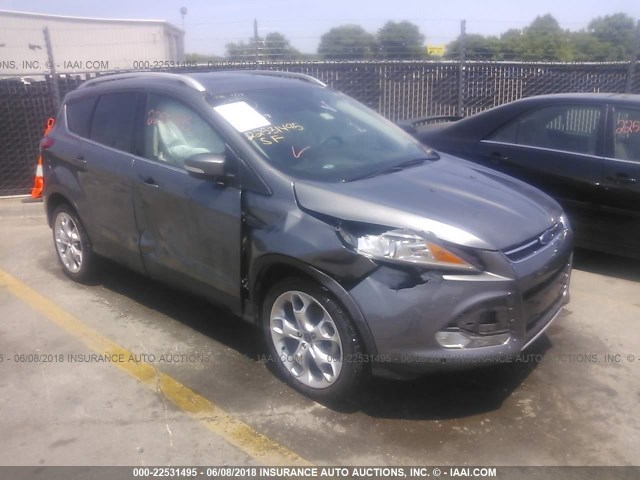 1FMCU0JX9EUD00838 - 2014 FORD ESCAPE TITANIUM GRAY photo 1