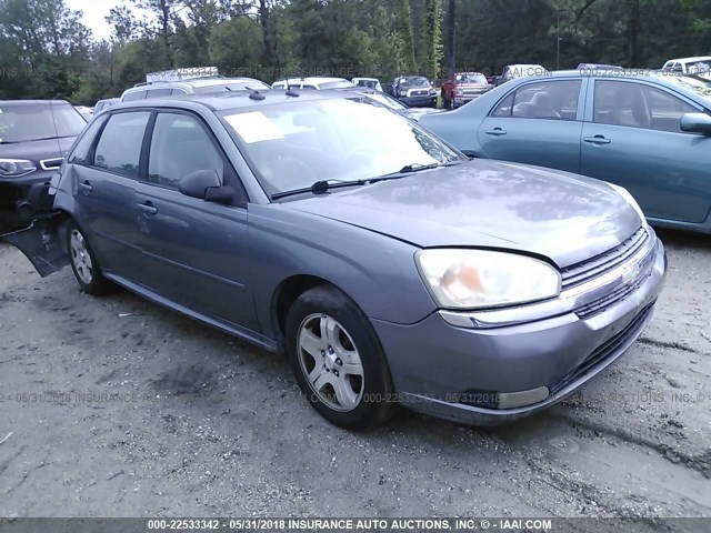 1G1ZU64844F220333 - 2004 CHEVROLET MALIBU MAXX LT SILVER photo 1