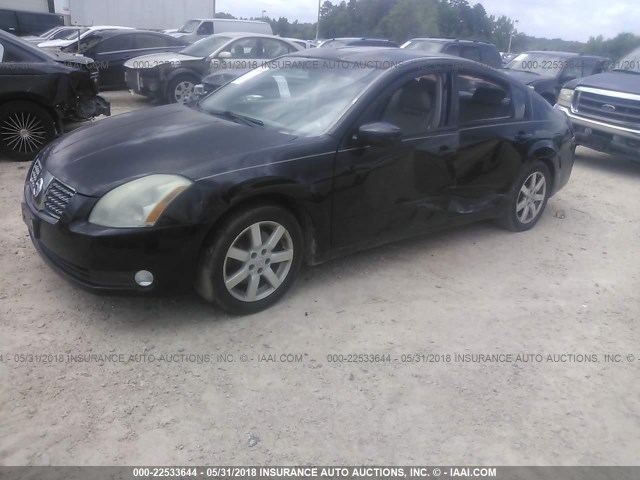 1N4BA41E25C854037 - 2005 NISSAN MAXIMA SE/SL BLACK photo 2