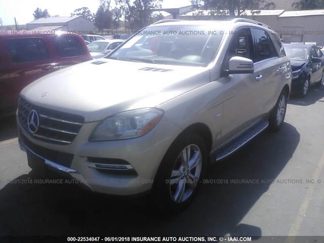 4JGDA5HB7CA021407 - 2012 MERCEDES-BENZ ML 350 4MATIC GOLD photo 2