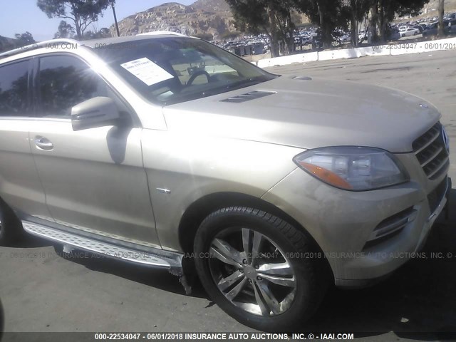 4JGDA5HB7CA021407 - 2012 MERCEDES-BENZ ML 350 4MATIC GOLD photo 6