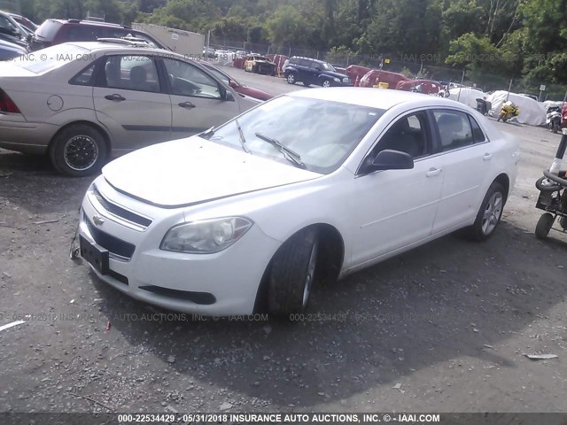 1G1ZA5E01AF256617 - 2010 CHEVROLET MALIBU LS 白色 照片 2