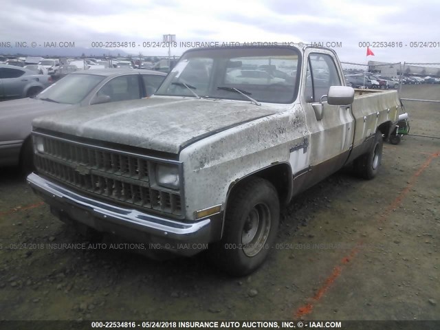 1GCEC14D1BZ112854 - 1981 CHEVROLET C10 WHITE photo 2