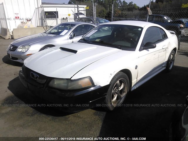 1FAFP42X54F161136 - 2004 FORD MUSTANG GT WHITE photo 2