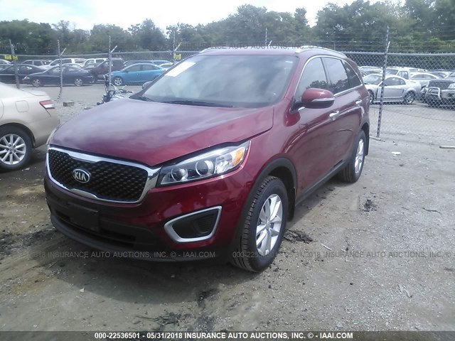 5XYPG4A37GG089516 - 2016 KIA SORENTO LX/L RED photo 2