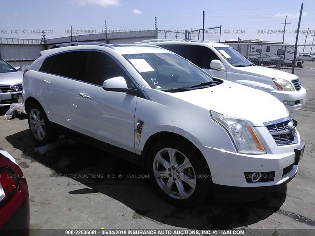3GYFNBEY7AS574251 - 2010 CADILLAC SRX PERFORMANCE COLLECTION Ақ фото 1