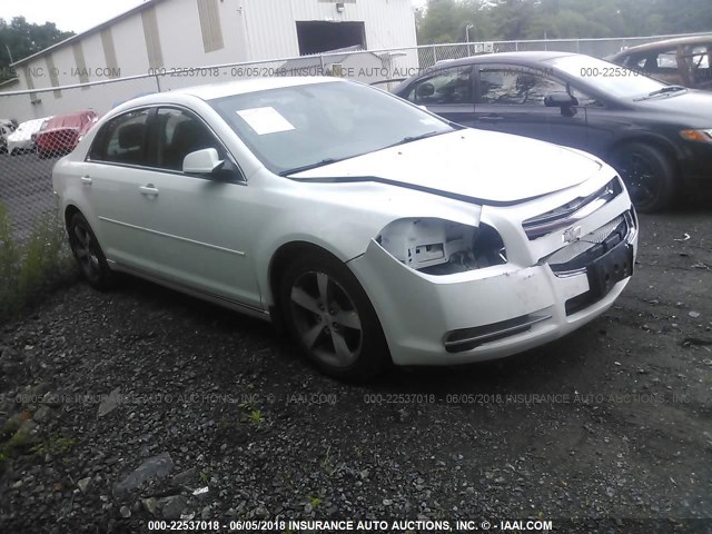 1G1ZC5E15BF219932 - 2011 CHEVROLET MALIBU 1LT 白色 照片 1