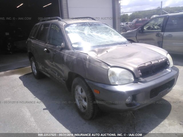 KM8SC73D05U891913 - 2005 HYUNDAI SANTA FE GLS/LX BROWN photo 1