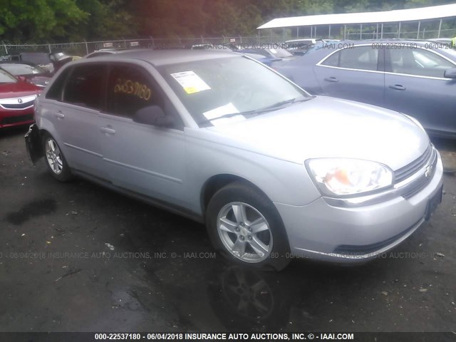 1G1ZT62885F192480 - 2005 CHEVROLET MALIBU MAXX LS SILVER photo 1