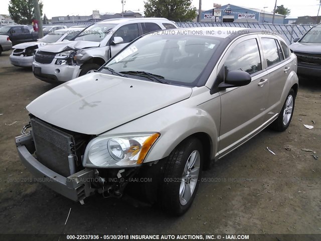 1B3CB4HAXAD618966 - 2010 DODGE CALIBER SXT GOLD photo 2