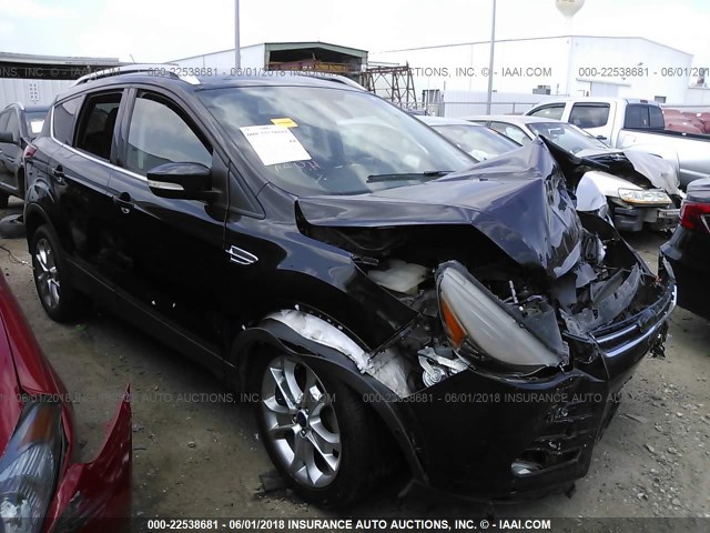 1FMCU0JX9EUE10093 - 2014 FORD ESCAPE TITANIUM BLACK photo 1