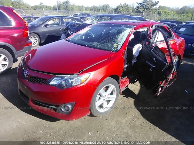 4T1BF1FK7DU661475 - 2013 TOYOTA CAMRY L/SE/LE/XLE 红色 照片 2