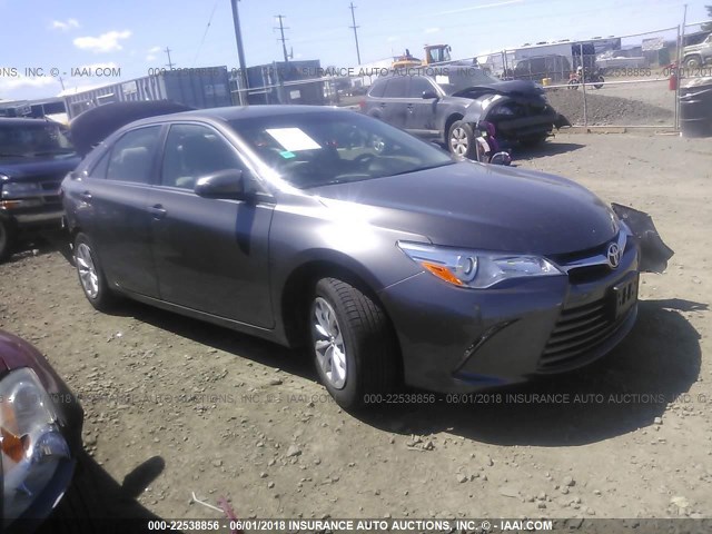 4T4BF1FK0GR549238 - 2016 TOYOTA CAMRY LE/XLE/SE/XSE GRAY photo 1