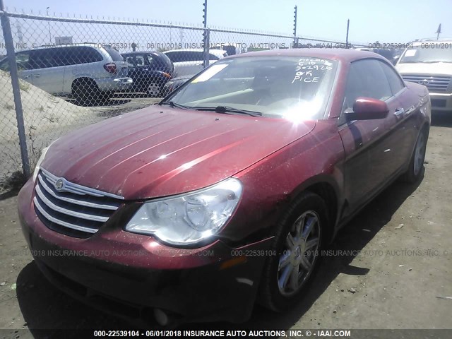 1C3LC65M98N302926 - 2008 CHRYSLER SEBRING LIMITED RED photo 2