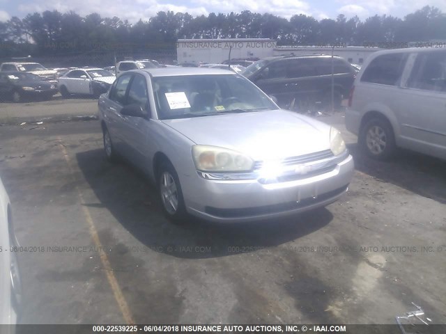 1G1ZT52804F113991 - 2004 CHEVROLET MALIBU LS SILVER photo 1